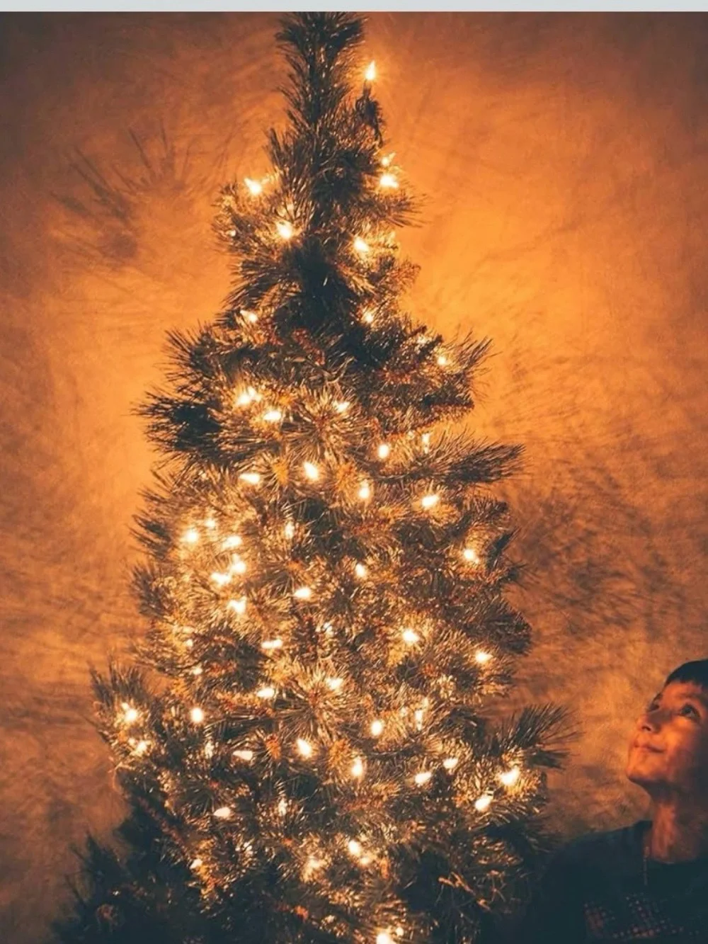 Brightown 100 C9 Christmas String Lights - Warm White
